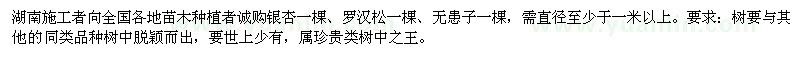 求購(gòu)銀杏、羅漢松、無(wú)患子