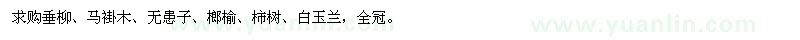 求購(gòu)垂柳、馬褂木、無(wú)患子、榔榆、柿樹(shù)、白玉蘭