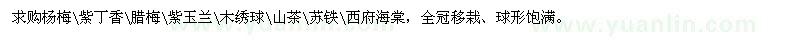 求購楊梅\紫丁香\臘梅\紫玉蘭\木繡球\山茶\蘇鐵\西府海棠