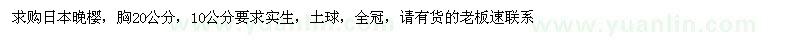求購日本晚櫻，胸20公分，10公分 