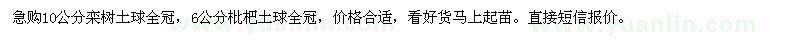 求購10公分欒樹土球全冠，6公分枇杷土球全冠 