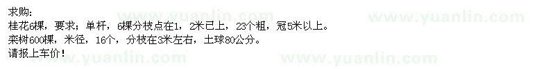 求購桂花,欒樹