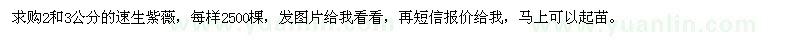 求購2和3公分的速生紫薇