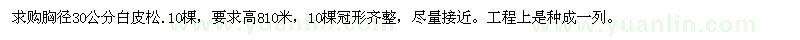 求購胸徑30公分白皮松
