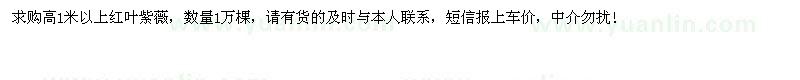 求購高1米以上紅葉紫薇1萬棵