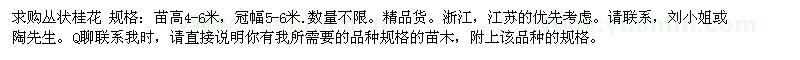 求購叢狀桂花