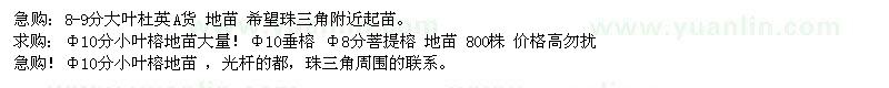 求購大葉杜英,小葉榕,菩提榕