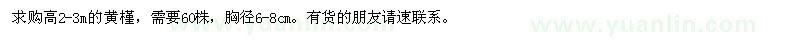 求購高2-3m的黃槿