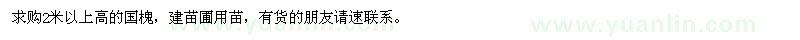 求購2米以上高的國槐