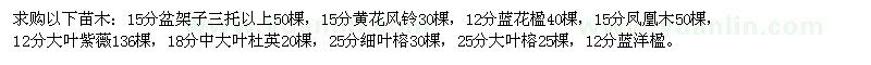 求購盆架子、黃花風鈴、藍花楹等