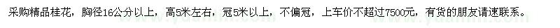 求購胸徑16公分以上桂花