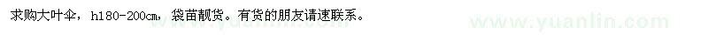 求購(gòu)大葉傘