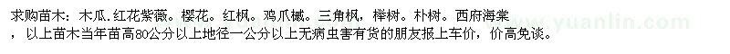 求購(gòu)木瓜、紅楓、櫸樹(shù)、樸樹(shù)、西府海棠
