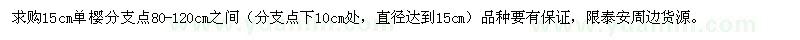 求購(gòu)15cm單櫻分支點(diǎn)80-120cm之間 