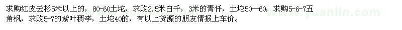 求購紅皮云杉，白千，五角楓 