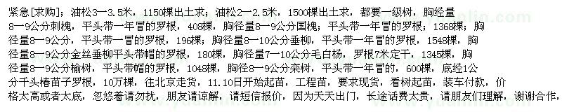 求購油松 刺槐 垂絲海棠 毛白楊 千頭椿 欒樹  10號起苗