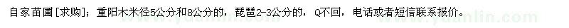 求購重陽木米徑5公分和8公分的，琵琶2-3公分