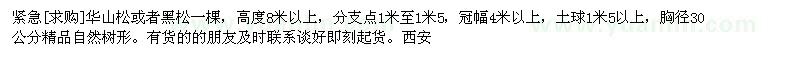 求購華山松或者黑松一棵，高度8米以上