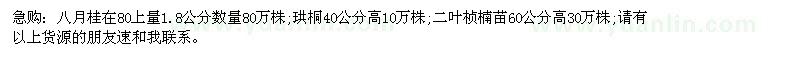 求購八月桂;珙桐;二葉楨楠苗