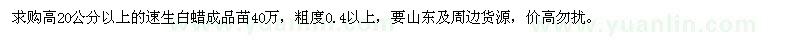 求購(gòu)20公分以上的速生白蠟成品苗