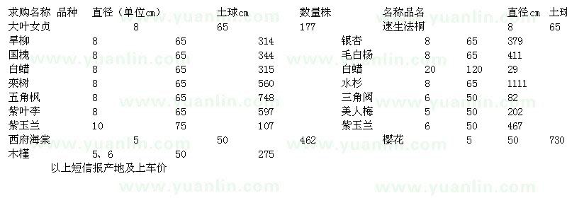 求購大葉女貞、旱柳、國槐等