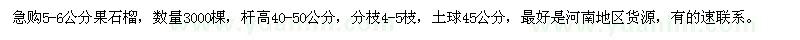 求購5-6公分果石榴3000棵