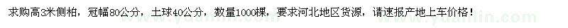 求購高3米側(cè)柏1000棵