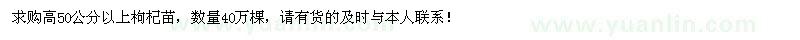 求購高50公分枸杞苗40萬棵