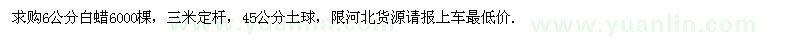 求購6公分白蠟6000棵 