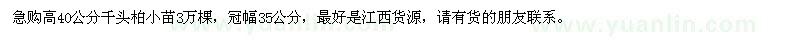 求購高40公分千頭柏小苗3萬棵