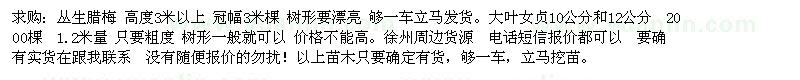 求購叢生臘梅 大葉女貞10-12  三角楓8