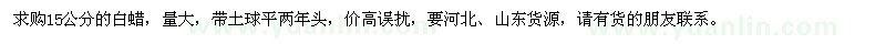 求購15公分的白蠟