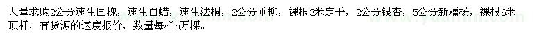 求購2公分速生國槐，速生白蠟，速生法桐 