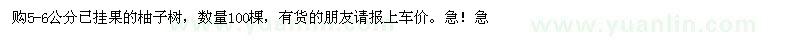 求購5-6公分已掛果的柚子樹，數(shù)量100棵 