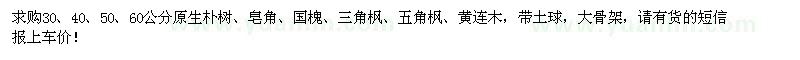 求購原生樸樹、皂角、國槐、三角楓、五角楓、黃連木