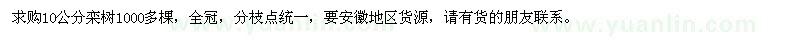 求購10公分欒樹