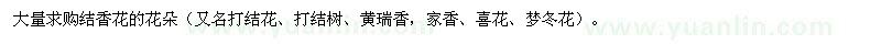 求購結香花