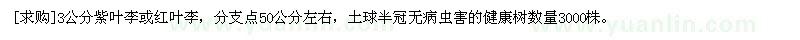 求購3公分紫葉李或紅葉李
