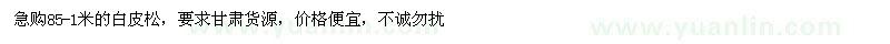 求購85-1米的白皮松 