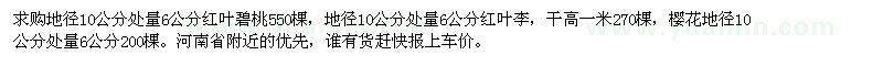 求購(gòu)紅葉碧桃,櫻花,紅葉李