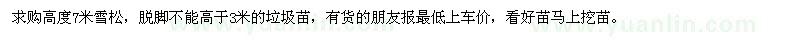 求購高度7米雪松