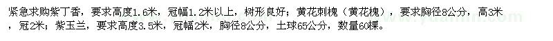 求購紫丁香,紫玉蘭,黃花刺槐,雞爪槭