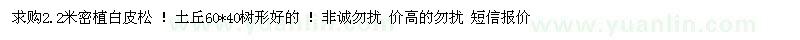 求購2.2米密植白皮松 ！土丘60*40樹形好的 