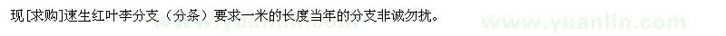 求購速生紅葉李分支