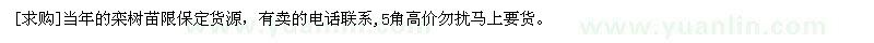 求購當(dāng)年的欒樹苗
