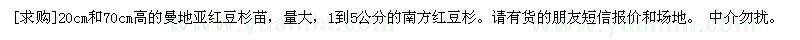 求購(gòu)曼地亞紅豆杉苗，南方紅豆杉