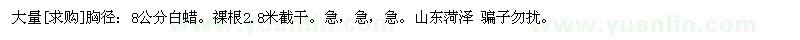 求購(gòu)大量胸徑：8公分白蠟。裸根2.8米截干