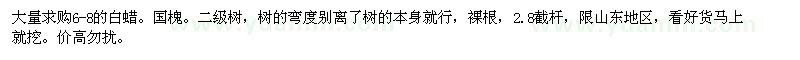 求購6-8的白蠟。國槐 