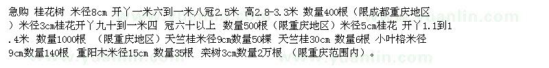 求購(gòu)桂花樹 桂花 天竺桂 小葉榕 