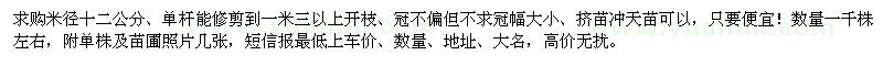 求購十二公分八月桂